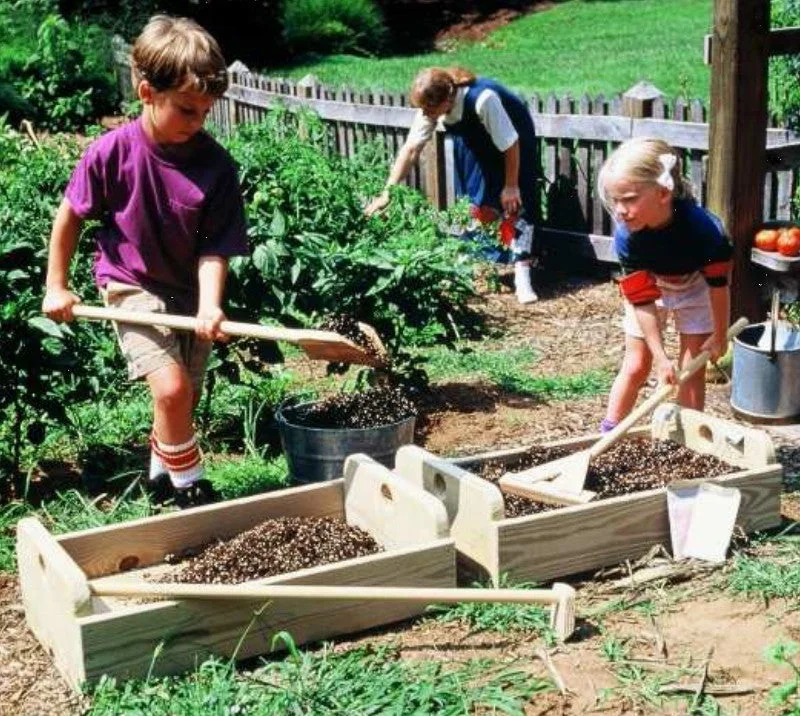 2026_06_04_2834317