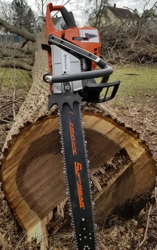 newenglandpine202606041742502728969